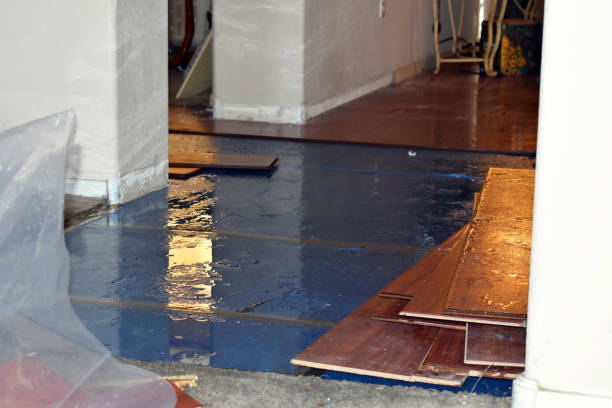Professional Basement Flood Cleanup technician working in Mendota, MN